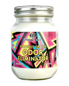 A Pictures of Lily Special Blue Odor Eliminator Candle.