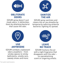 Load image into Gallery viewer, Ozium Air Sanitizer &amp; Odor Eliminator Spray 3.5 oz
