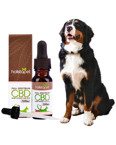 CBD Oil for Dogs & Cats