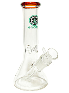 A Clear Beaker Bong with an auburn mouthpiece and mint logo.